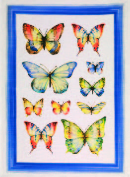 Papillon Blu