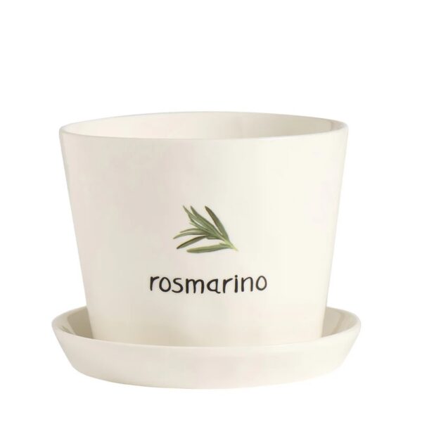 Vaso Rosmarino, con sottovaso - immagine 3